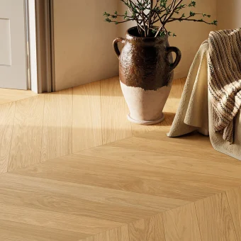 AMB_DREAMHONEY_HD_800x800