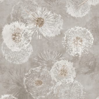 HCAP54_Clay-Dec.-Dandy_60x120@2-1