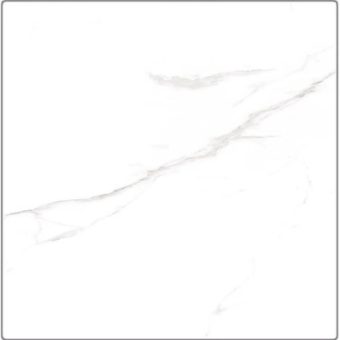 as.127065928