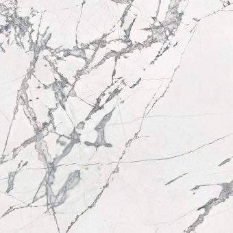 invisible-white-rondine-slab-_10616334